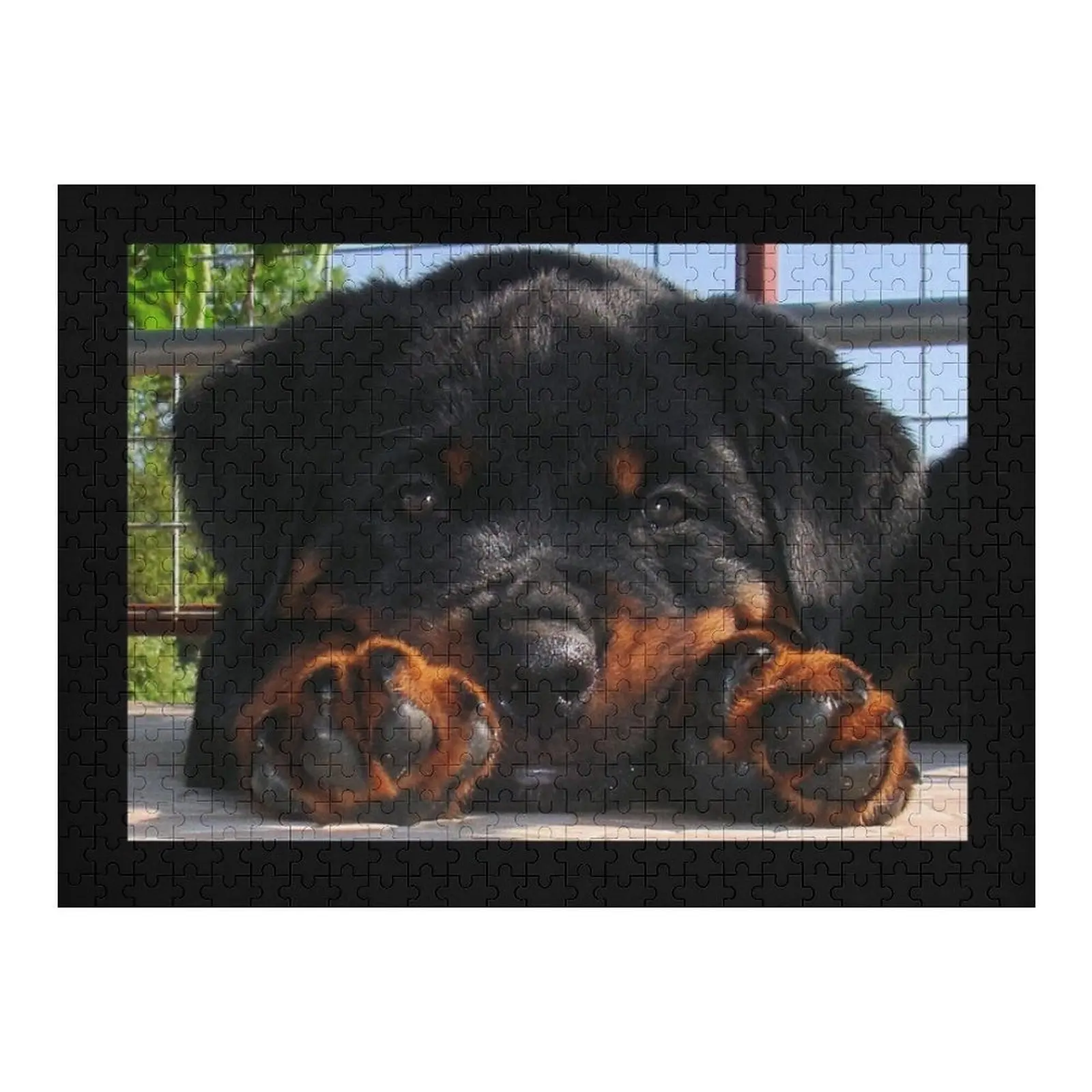 

Милый щенок Ротвейлера, отдыхающая голова между лапами, головоломка, деревянные коробки, настраиваемый подарочный пазл