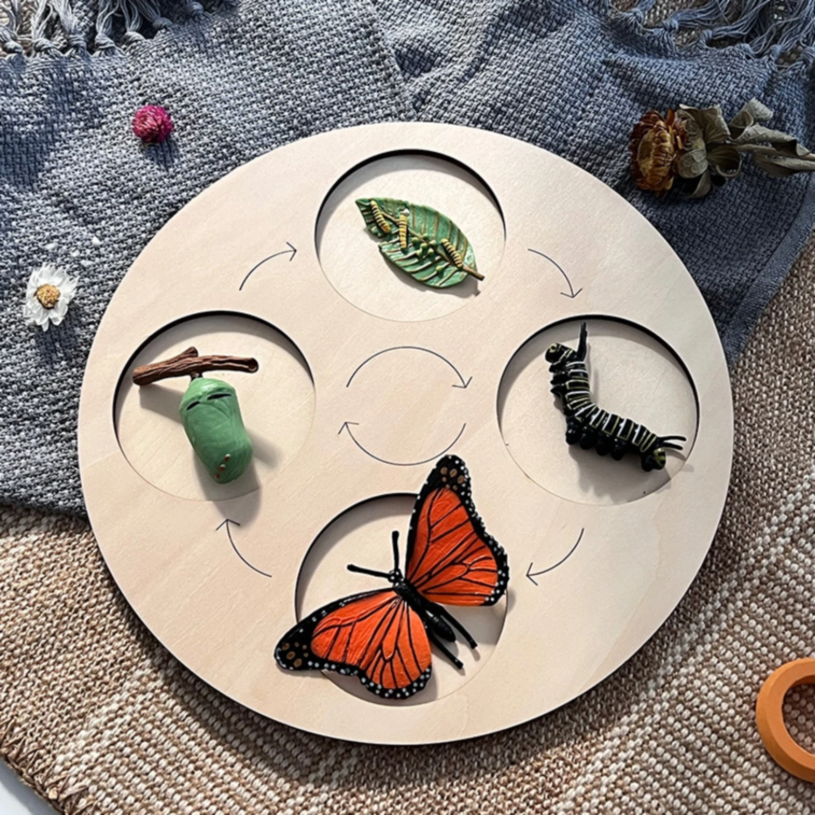 

Life Cycle Board Circular Life Cycle Matching Game Wooden Matching Game Board Round Learning Toy STEM for Children