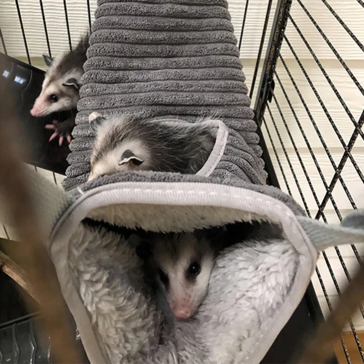 Winter Warm Hammock Hamster Tunnel  Small Animals Sugar Glider Tube Swing Bed Nest Bed Rat Ferret Toy Cage Accessories