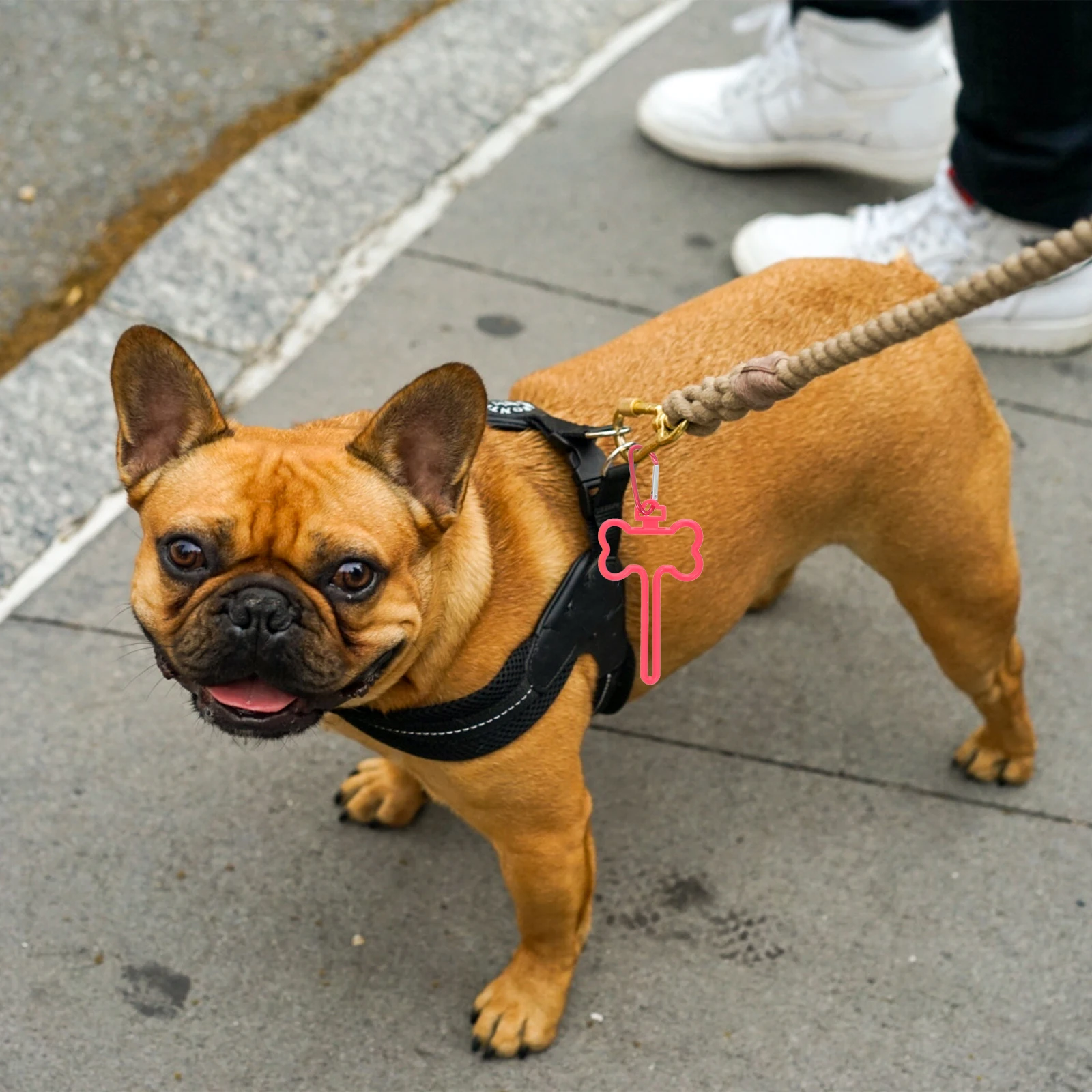 

5pcs Dog Poop Bag Clips Pet Waste Holders Leash Carrier Hands Free Sturdy ABS Durable Long Term Use Great Colors Dog Supplies