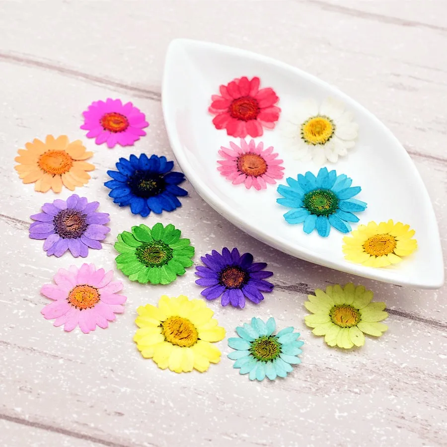 

10 шт., Натуральные Сушеные хризантемы, 2,5 см