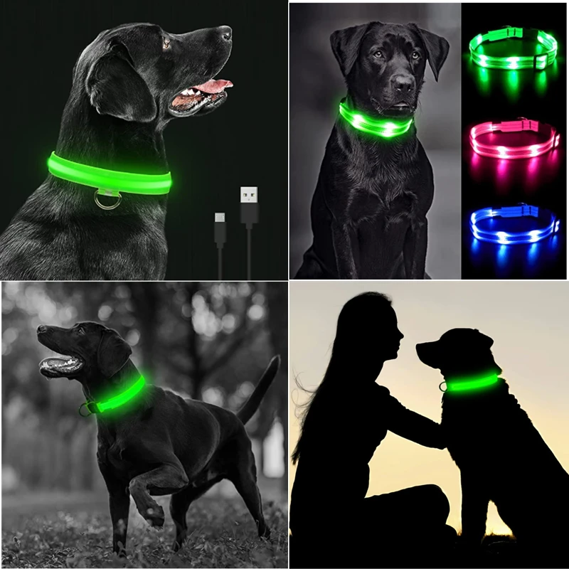 Led incandescente collare per cani regolabile lampeggiante Rechargea collare luminoso notte Anti-smarrimento luce per cani per prodotti per animali