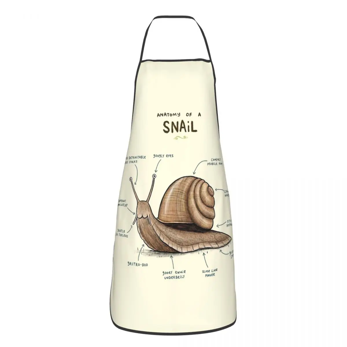 Anatomy Of A Snail Aprons Chef Cooking Cuisine Tablier Waterproof Bib Kitchen Cleaning Pinafore for Women Men Gardening