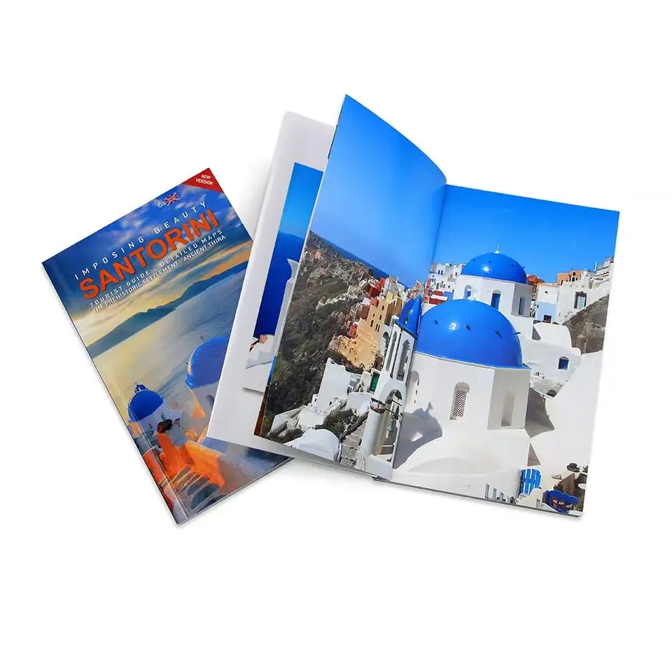 Custom Books with Logo Customize Flyers Postcards Print Brochure Booklet Instruction Manual Catalogue Menu Advertising Promotion