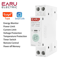 Tuya WiFi Smart Circuit Breaker MCB Timer 1P+N 63A Power Energy kWh Voltage Current Meter Protector Voice Remote Control Switch