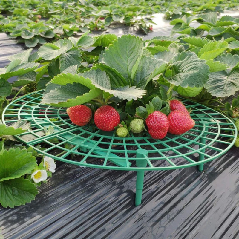 5Pcs Round Plastic Strawberry Stand Balcony Grow Vegetables Fruit Climbing Pillar Gardening Bracket Plant Cages&Supports