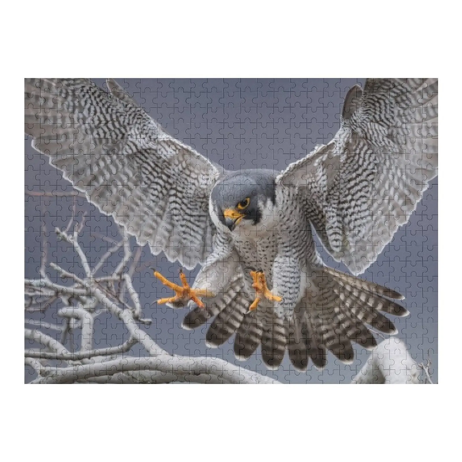 

Сапсан Сокол Пазл Iq Персонализированный фотоподарок на заказ с фотоизображением Пазл