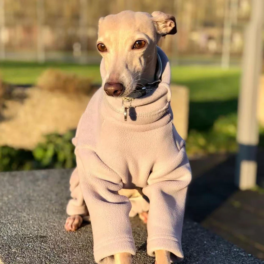 Abrigo invierno polar 4 patas para perros Whippet y Galgo Italiano - imagen 3