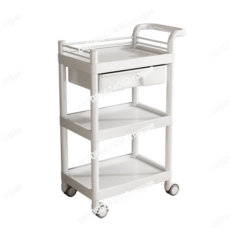 Beauty Salon Specialized Trolley with Storage Shelf, Advanced Hand-Pushed Tool Cart for Treatment and Organization