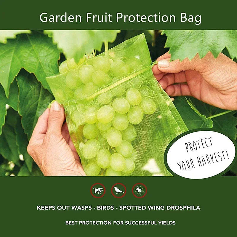 100 pz uva fragola sacchetti di protezione della frutta sacchetto di rete con coulisse da giardino sacchetti di rete di verdure Anti-uccello per frutteto agricolo