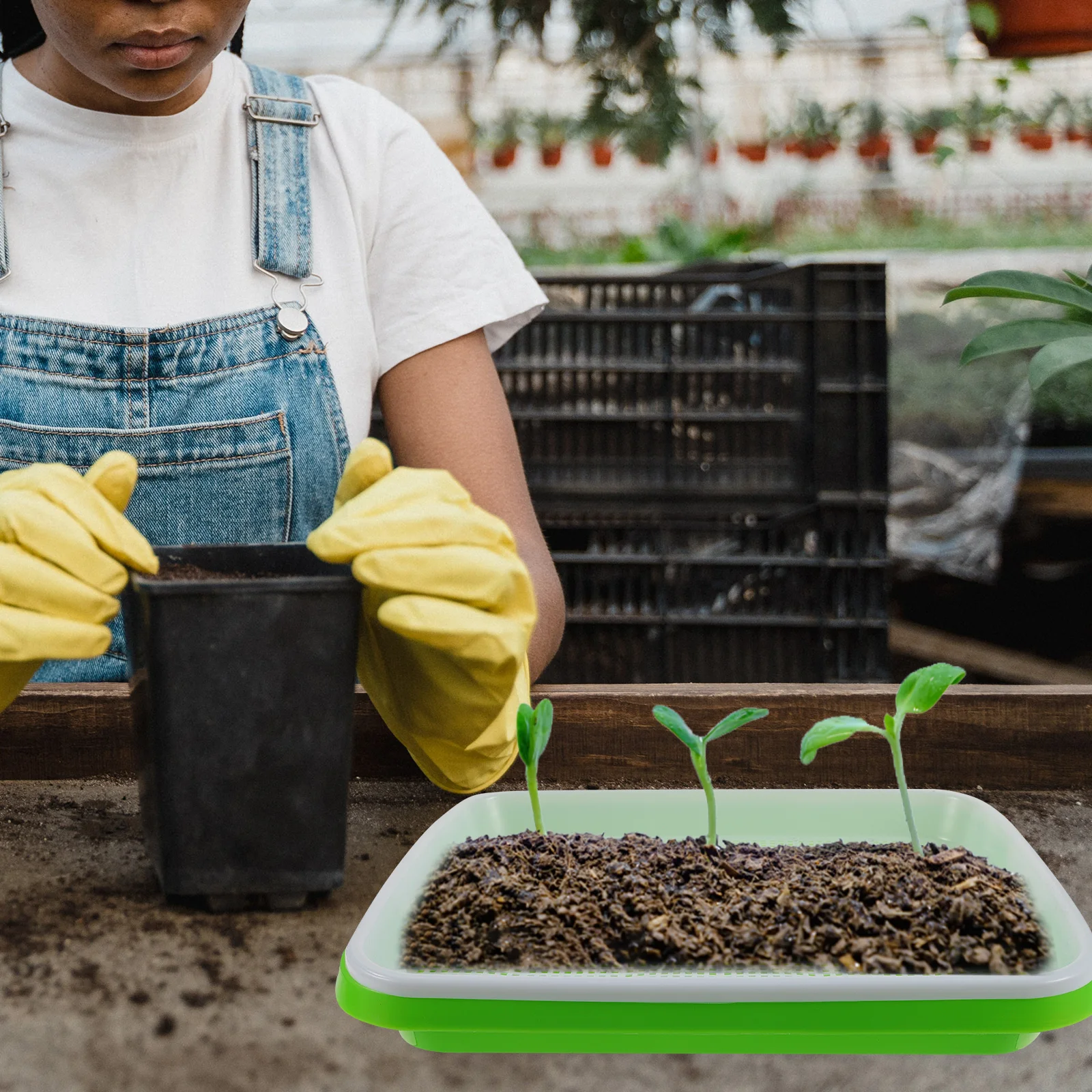 

Planting Tray Germination Premium Nursery PP Growing Soilless Trays Vegetable Starter Durable Water Saving