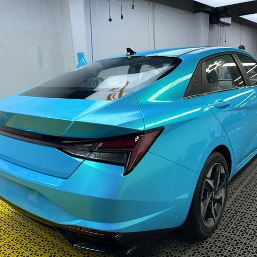 Imagen 2 del producto Película de vinilo para revestimiento de coche, pegatinas multicolores de color azul cielo Coral, pegatinas autoadhesivas sin burbujas para mascotas, accesorios para coche