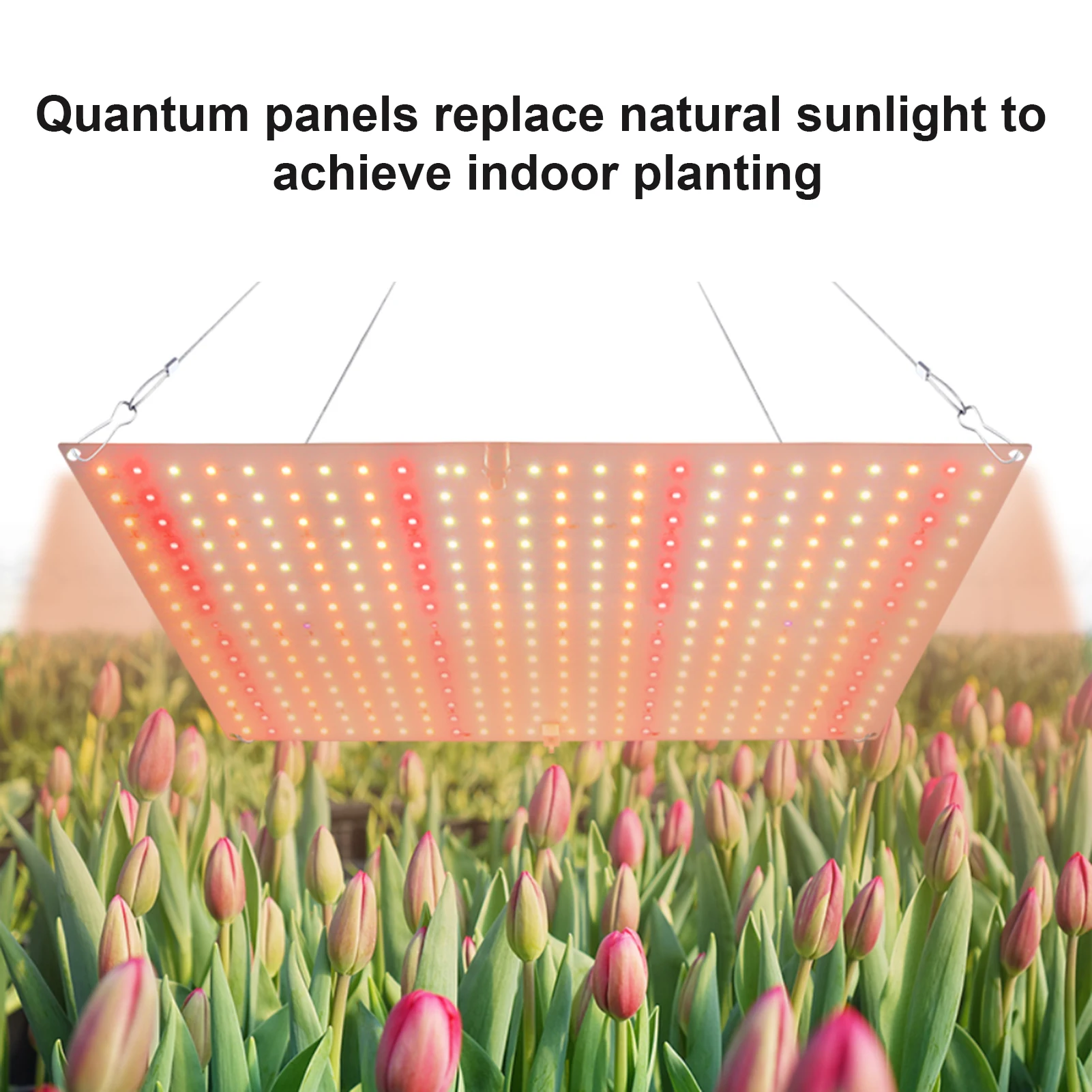 ضوء نمو النبات LED ضوء ملء عصاري الطيف الكامل نمو النبات ضوء IP20 تصنيف مقاومة للماء تصميم تبديد الحرارة #4