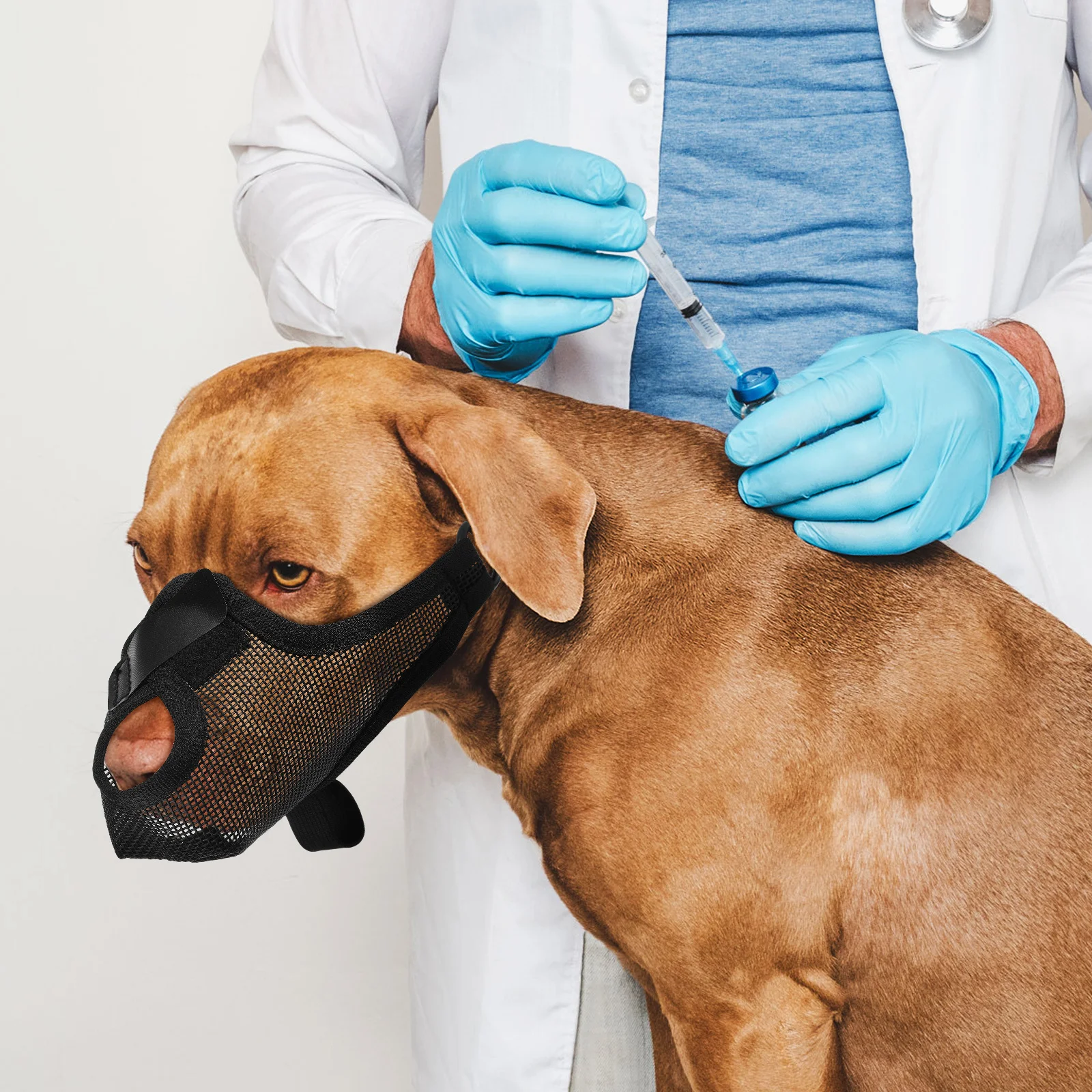 

Pet Dog Muzzle Adjustable Mesh Breathable Soft Cage Muzzle for Preventing Biting Lightweight Comfortable Fit Large Medium Dogs