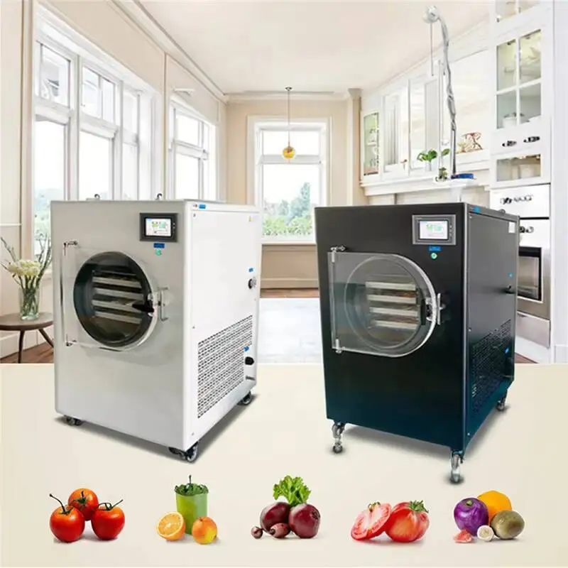 6kg 8kg 10kg 20kg Best Home Use Mini Vacuum Lyophilizer With Vacuum Pump Small Household Vacuum Cryogenic Freeze Dryer Machine