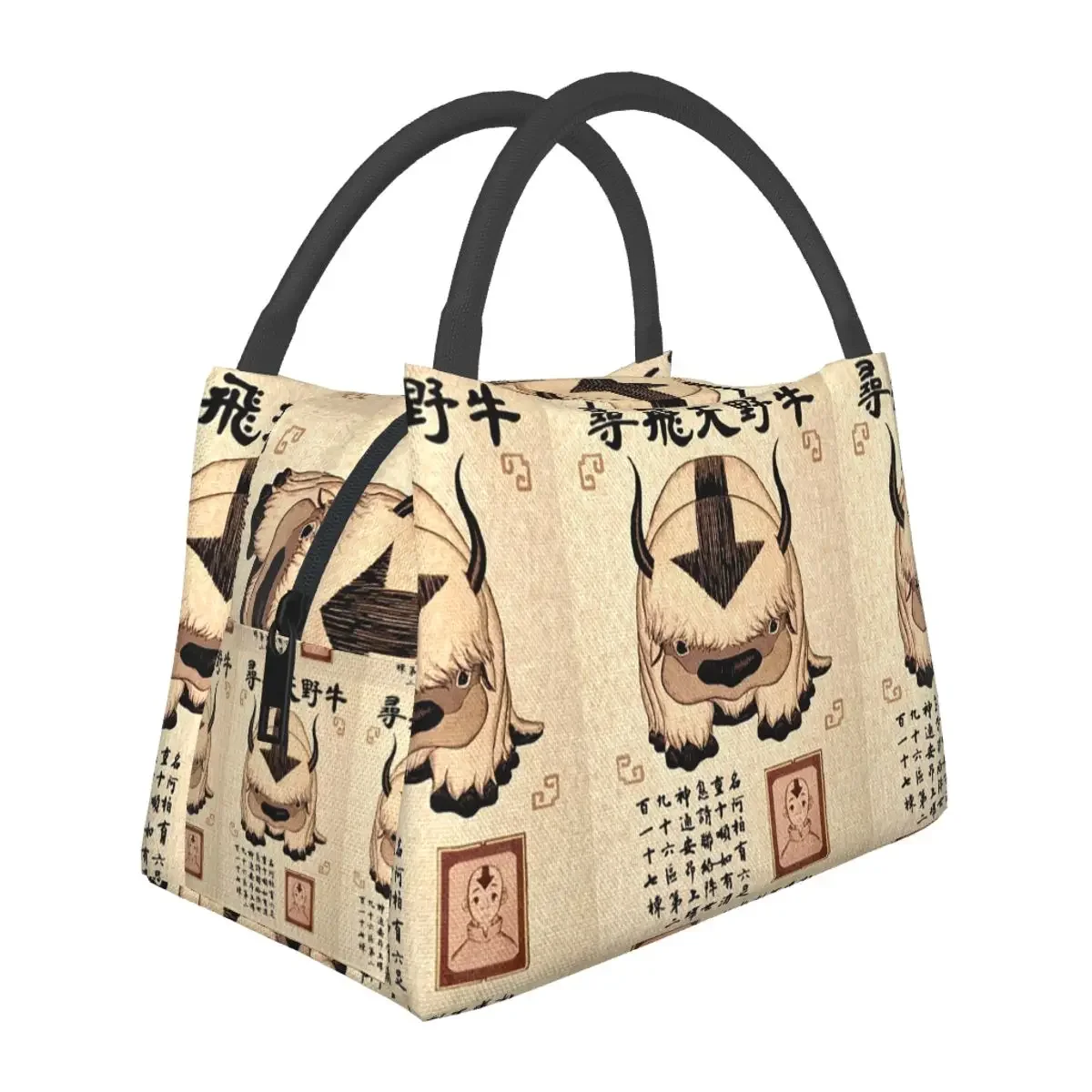 Avatar The Last Airbender Lost Appa Poster Lunch Bags Insulated Bento Box Resuable Lunch Tote Picnic Bags for Woman Student Work