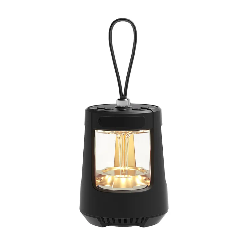 Portable Wireless 5W Woofer Good Sound Quality for Outdoor Camping Household FM Radio Playing SD Card Support Audio Player