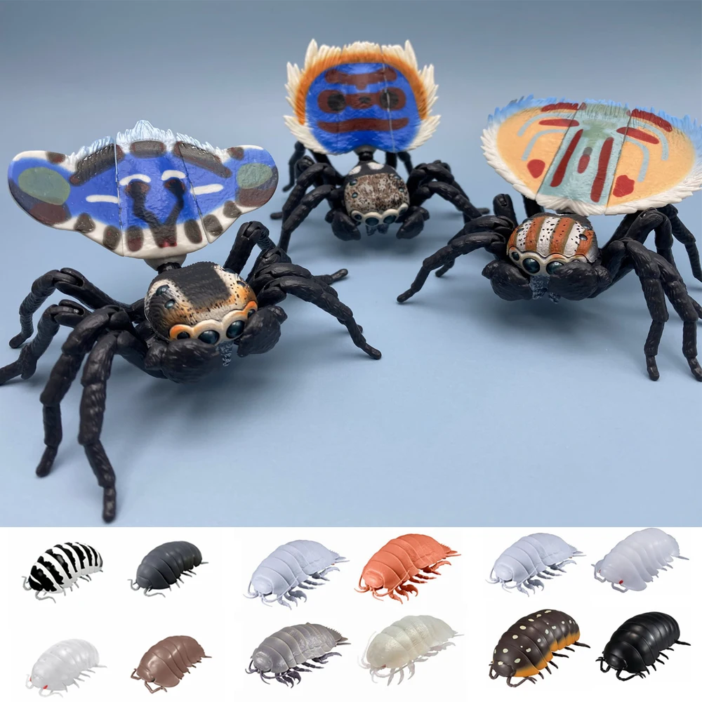 Bandai-juguetes Gashapon genuinos, libro ilustrado grande de biología, Maratus Volans, Bathynomus, juguetes de modelo de simulación de insectos gigantes