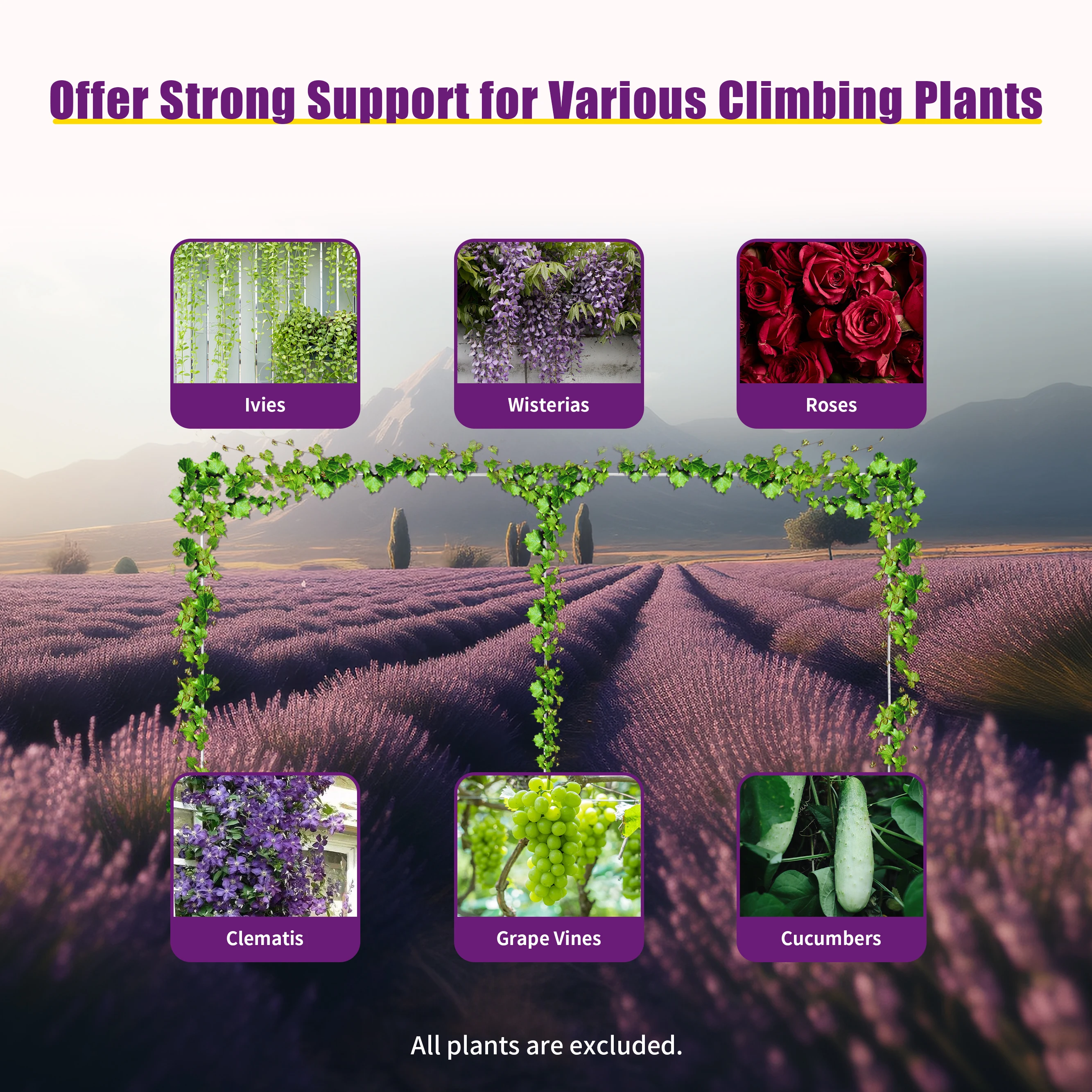 3x6m/10x20ft Metal Wedding Arch Stand Heavy Duty Photography Backdrop Curtain Frame Balloon Flower Decoration Rack Plant Support