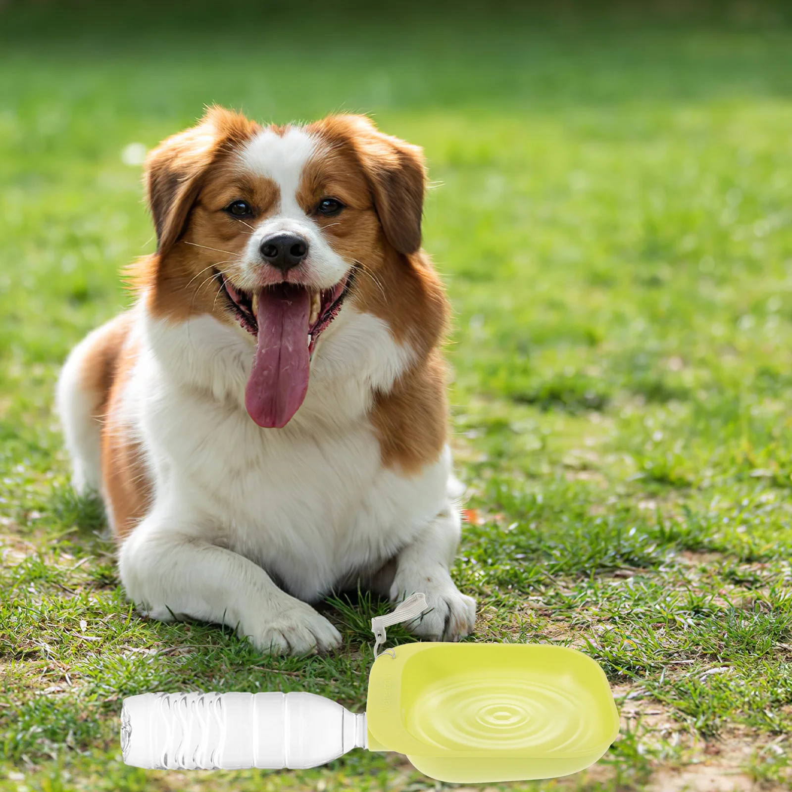 

Pet Water Bottle Drinking Bowl ABS Material Portable Dog Travel Non-Leak Water Bottle Bowl Accessory Splashproof
