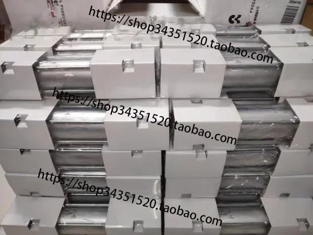 2026.4Customized Camozzi 61M2P050A1300 Camozzi Cylinder Air Source Device Ordered