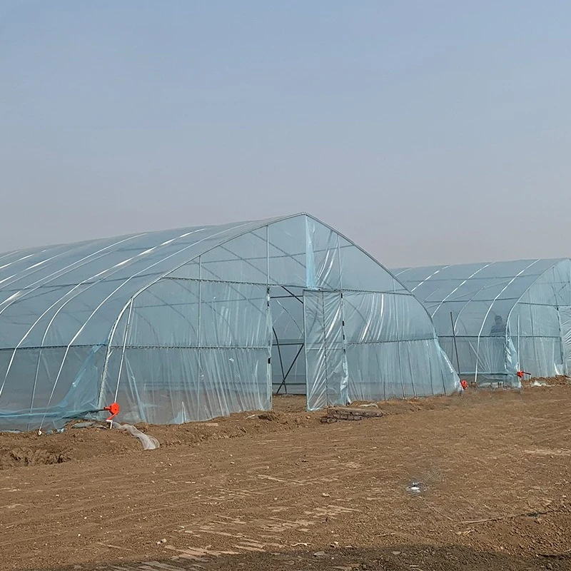 2025년형 폴리하우스 농업용 터널 온실 폴리카보네이트 그린하우스 프레임