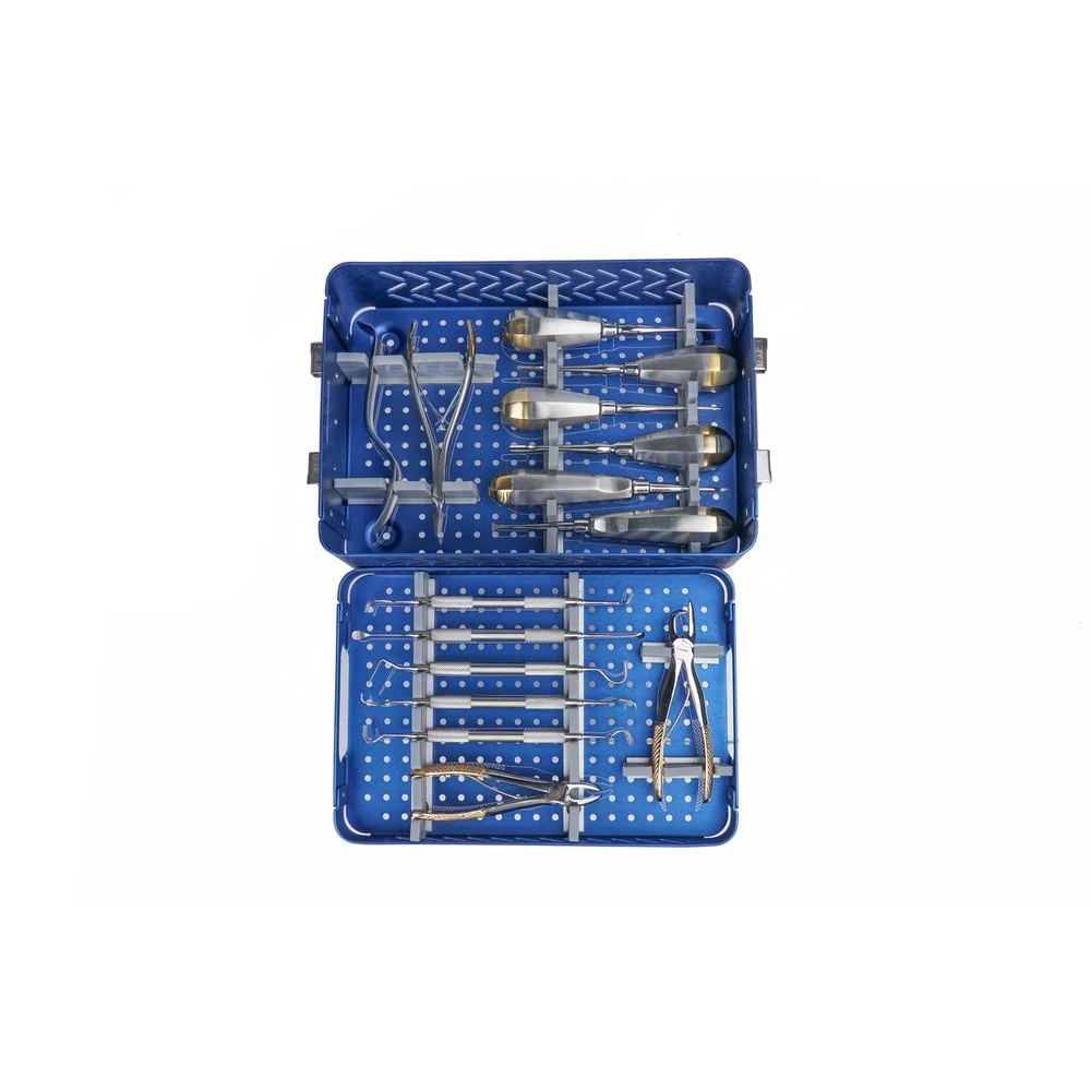 Prezzo competitivo Kit di strumenti dentali Attrezzatura chirurgica veterinaria Strumenti chirurgici ortopedici per uso veterinario