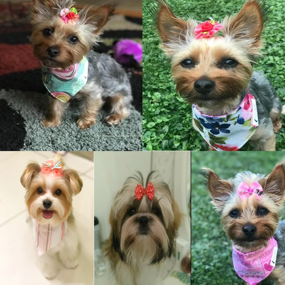 10 uds/20 piezas/30 Uds. Venta al por mayor lazos para el pelo de mascotas lazos para perros bandas de goma con accesorios para perros pequeños