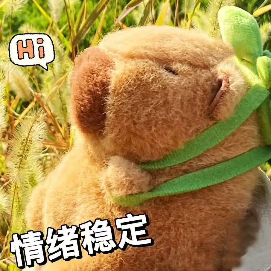 Capybara Plush Simulation Capibara Anime Fluffty Toy Kawaii Plushie Cute Doll Stuffed Animals Soft Doll Plush Gift Kid Toys image 5
