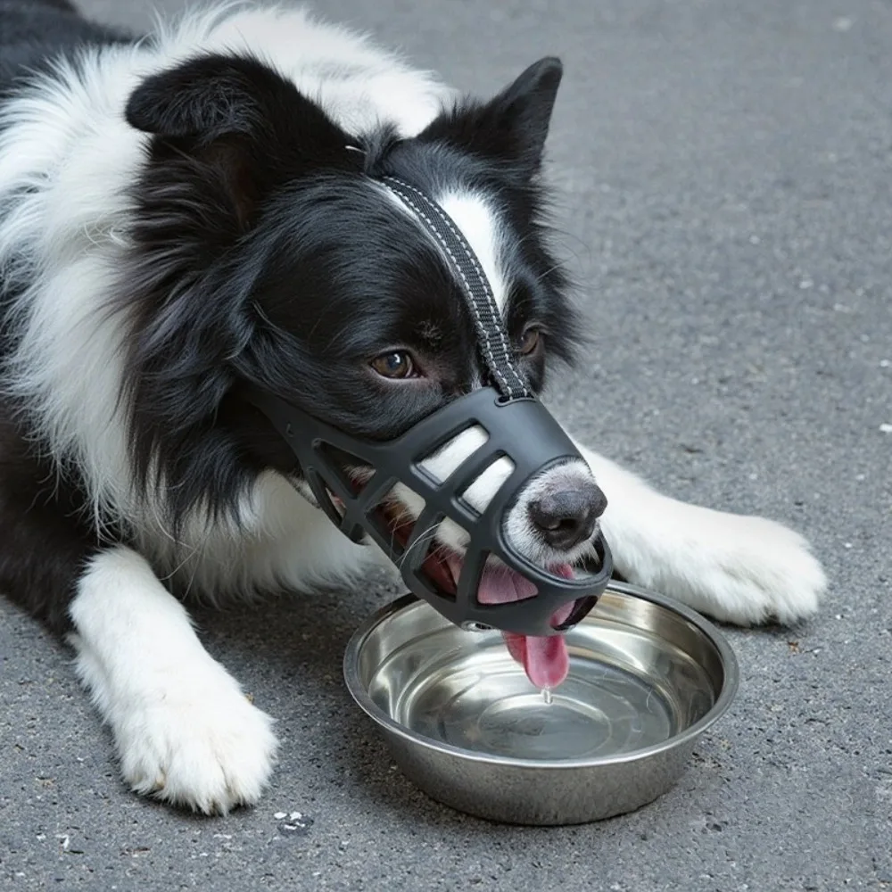 Thumbnail 2 - #5 Puppy Muzzles Comparison Guide