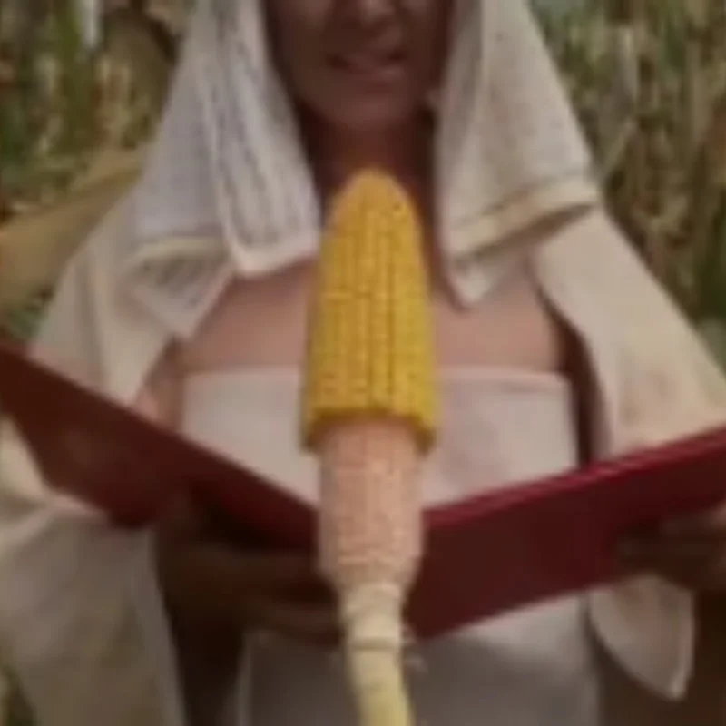 

Metal Front and Rear Suspension Arm Code with Pin for Arrma 1/7 Felony Infraction 1/8 KRATON Outcast Typhon 6S Upgrade Parts