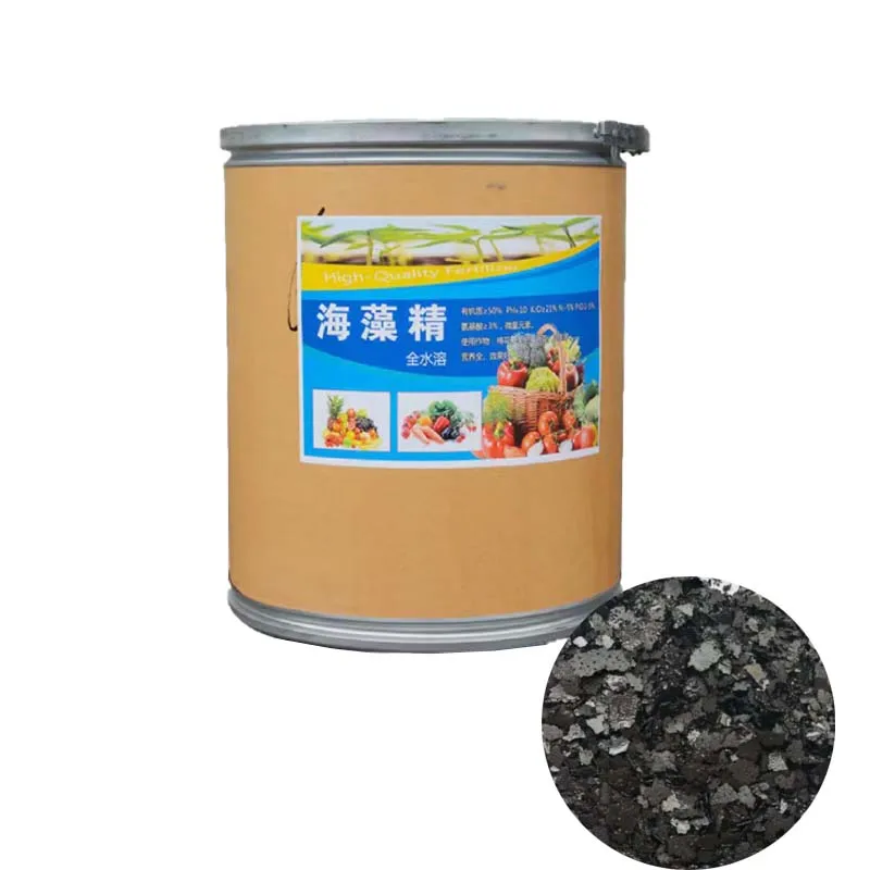 

Seaweed Essence Rooting and Seedling Strengthening Regulating Soil Organic Water soluble Fertilizer Organic Fertilizer