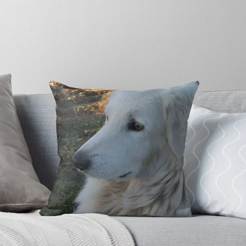 

Maremma Looking Throw Pillow Decorative Cushions For Luxury Sofa autumn pillowcase pillow