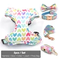Harness 5pcs Set