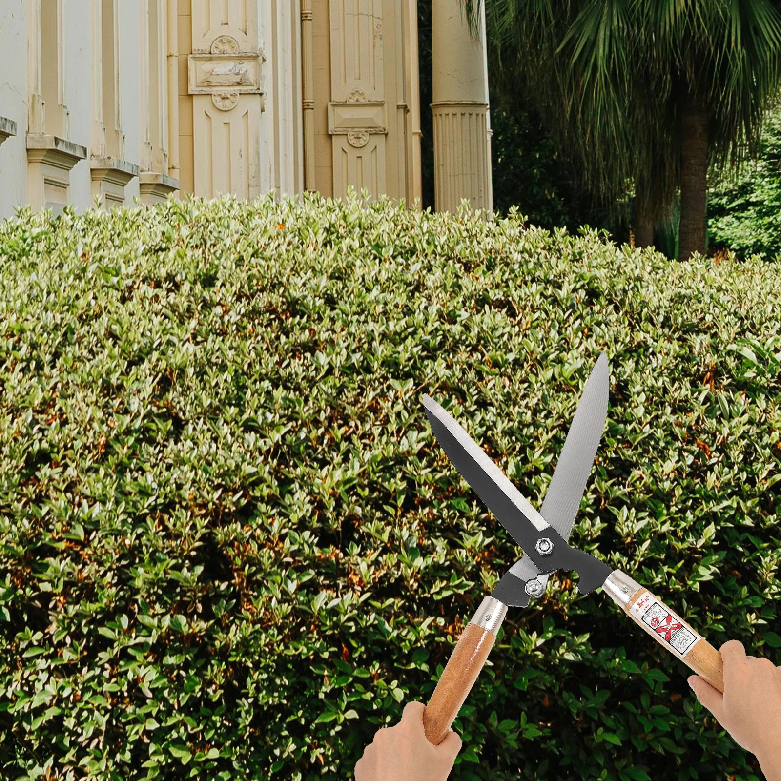 

Garden Scissors Pruning Shears Multi-purpose Handheld Shearing Tool Pruners Handle for Gardening Steel