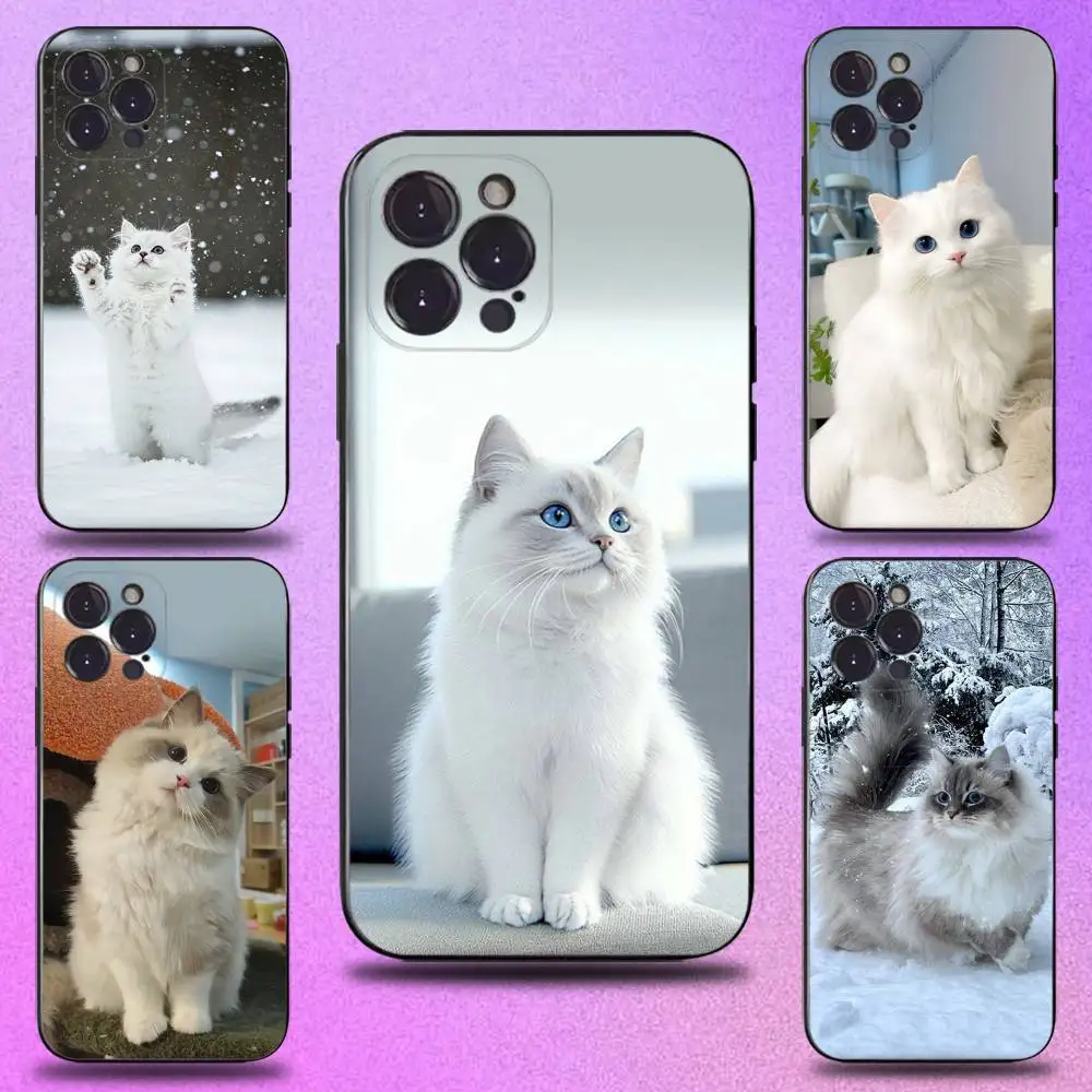 

Lovely Ragdoll Cat Cute For iPhone 17,16,15,14,13,12,11,Pro,Max,Plus,E,SE4,Air,Mini Black Soft Cover Phone Case
