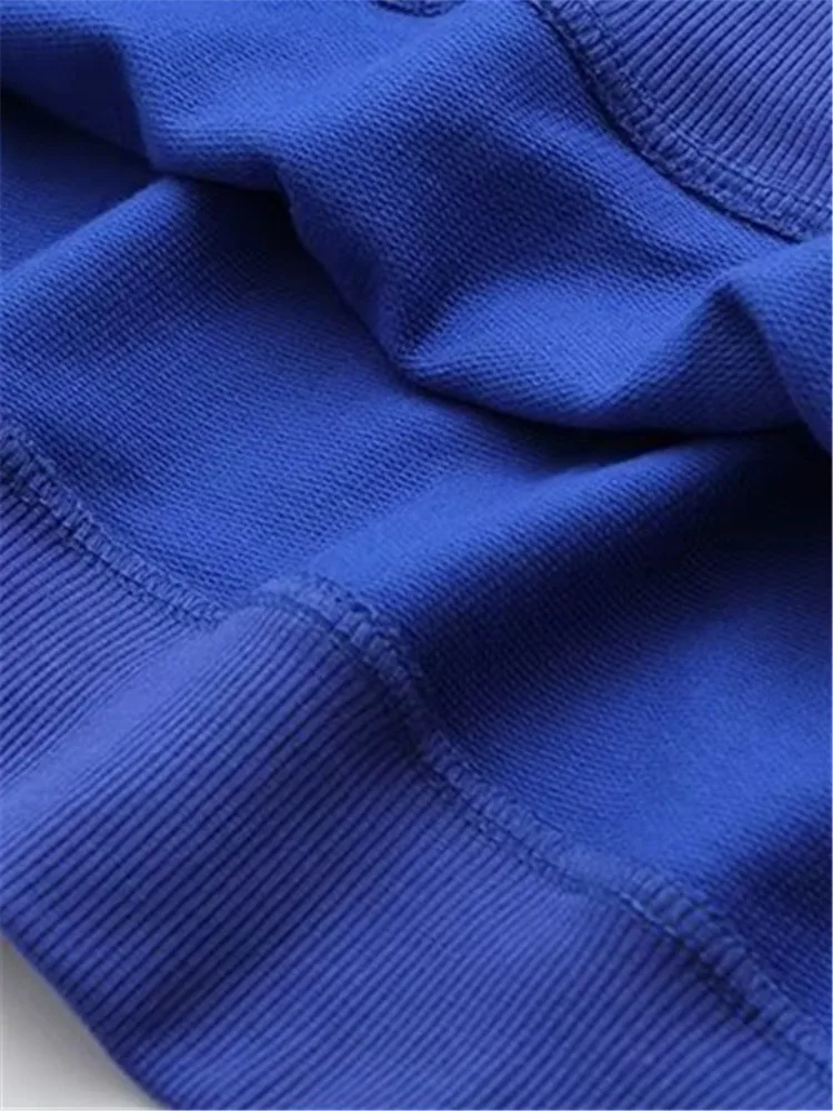 플러스 사이즈 여성복 용수철, 긴팔 티셔츠, 루즈한 맨투맨, 양쪽 팔에 매화 무늬 자수, 가을