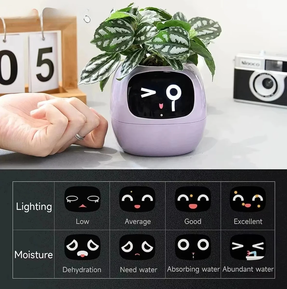 Home Decor Ai Free - YY WLAN-AI-Pflanzgefäß mit Bewässerungserinnerung, über 49