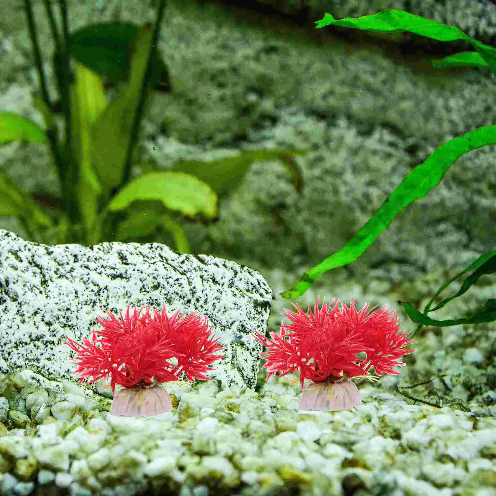 

10 Pcs Decor Fish Tank Decoration Plastic Plants Ornaments Aquarium Accessories For Red Decorations