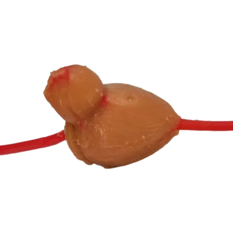 Prostate bladder training model 40 cm bioartificial tube implantation module for urology training practice