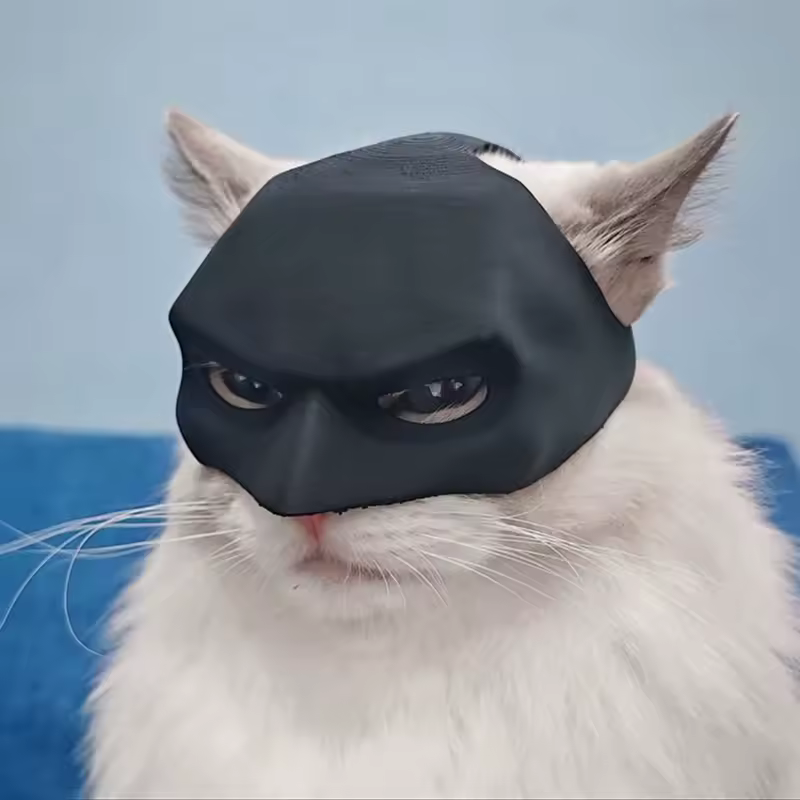 Black Bat Cat Avenger Mask, Halloween Fun For Pets!