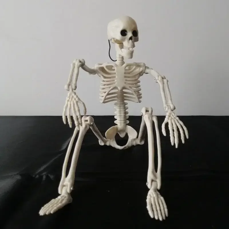 Halloween Human Skeleton 40CM Movable Skeleton Human Skeleton Halloween Horror Decorations Haunted House Horror Props