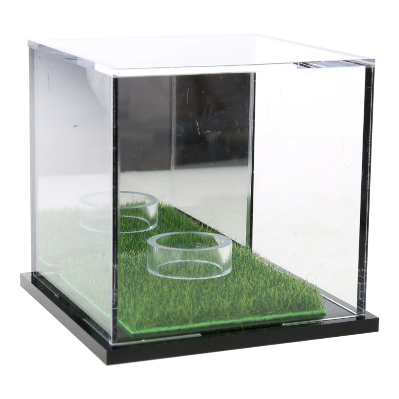 

Acrylic Golf Balls Display Case Square Display Holder Stand Clear Golf Balls Case for Displaying Autograph Collection