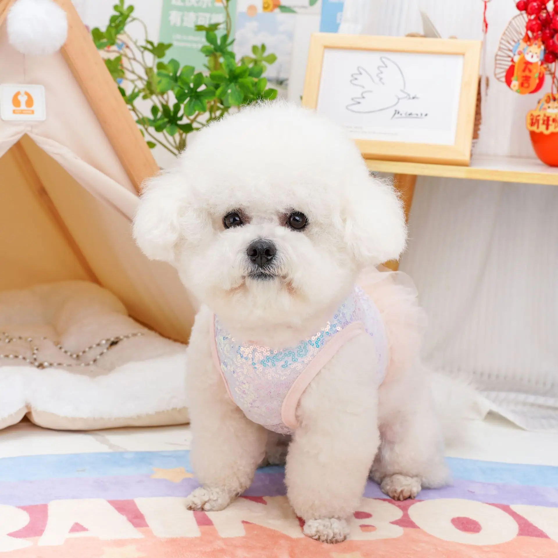 Pet Clothing Small Dog Cat Clothing Mermaid Sequins Fluffy Mesh Chest Back Clothing Teddy Bear Dog Harness and Leash for Walking