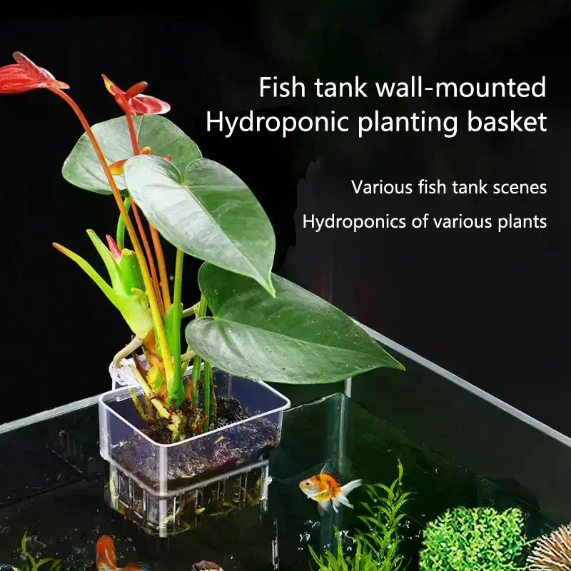Aquarium Plant Roots - Fish Tank Aquatic Plant Cup 2
