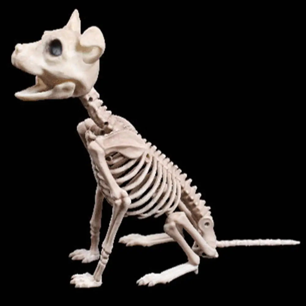 Halloween Cat Skeleton Decoration Spooky Halloween Skeleton Decor Set Poseable Mini Bone Statues Dog/cat/rat/spider for Haunted