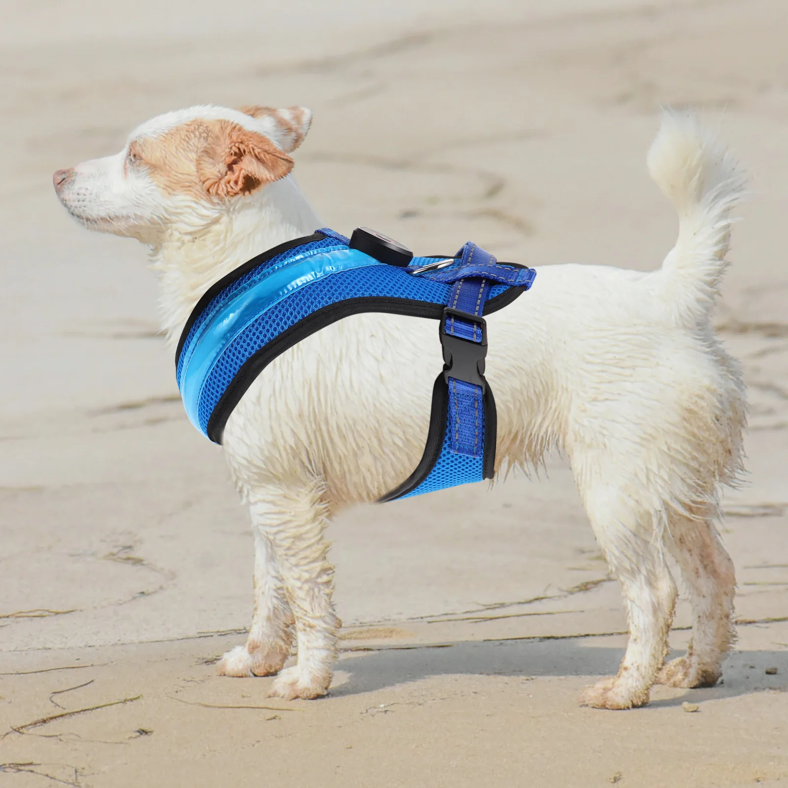 

LED Dog Vest Night Harness Large Size USB Rechargeable Reflective Nylon Luminous Pet Wear Comfortable Trendy Walking
