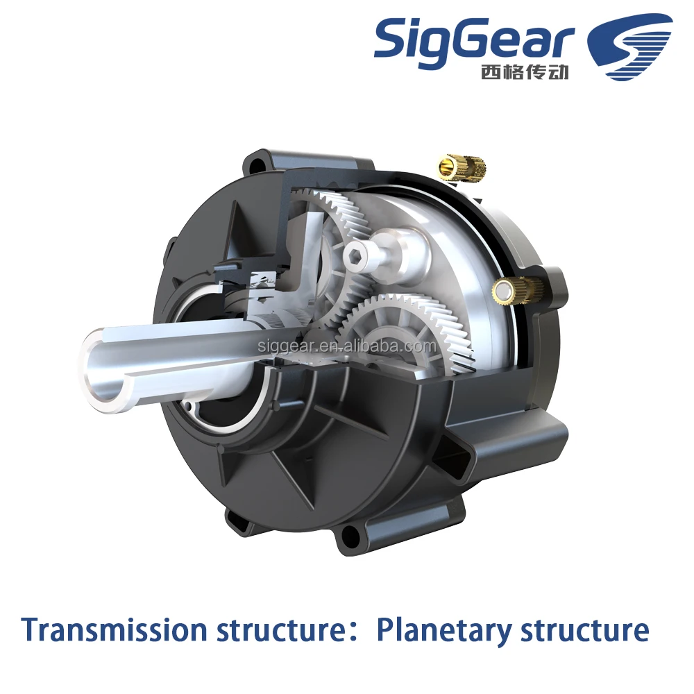 99mm Wheel Hub Motor9.75:1 Reduction Ratio 6Nm Rated Torque Electric Drive Motor for Electric Bicycle Motorcycle Wheelchair AGV
