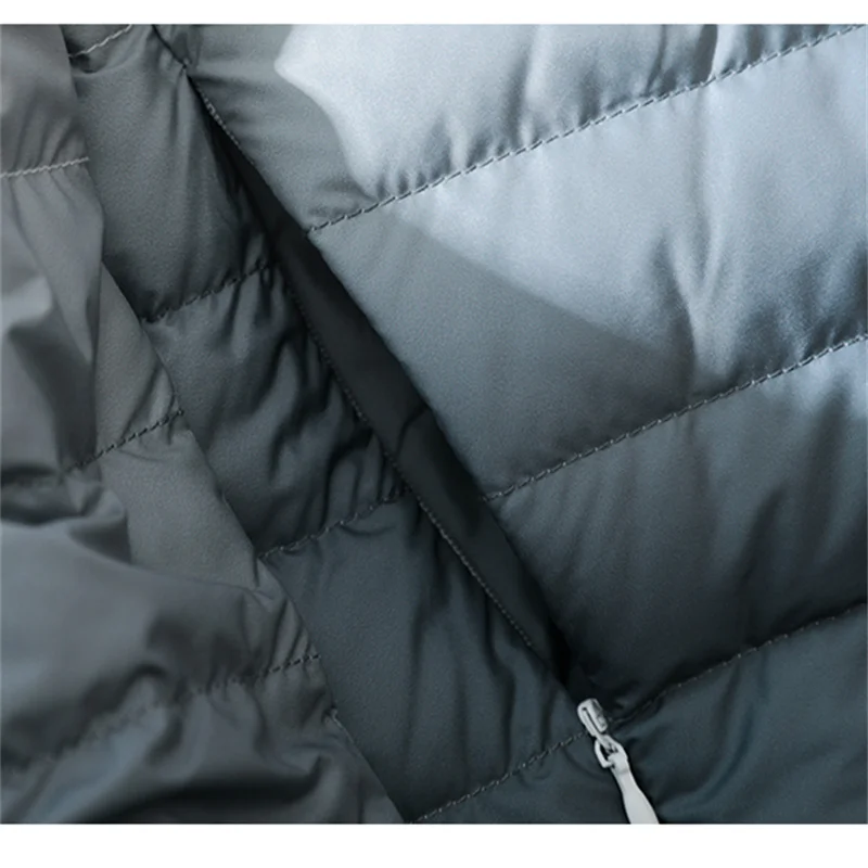 Automne hiver chaud col montant dégradé doudoune nouvelles femmes léger mince blanc canard vers le bas manteau dame courte bouffante Parkas vêtements d'extérieur