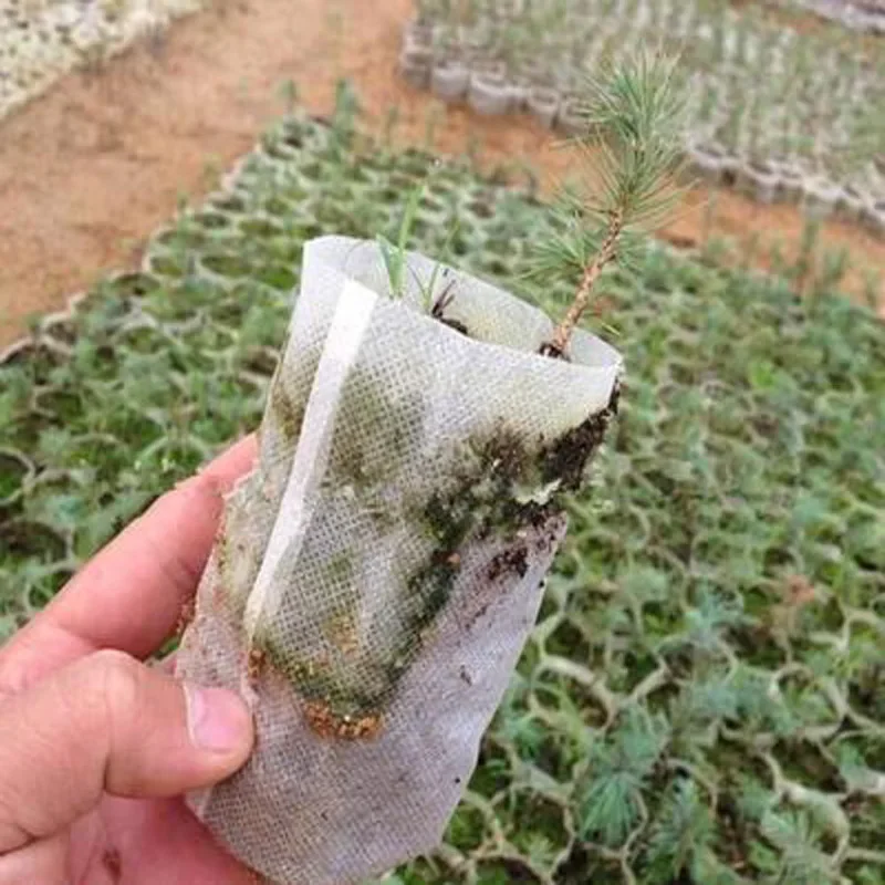 100PCS/PACK plant nursery Bags Biodegradable Non-woven Seedling Growing Planter Planting Pots Eco-Friendly Ventilate Bag